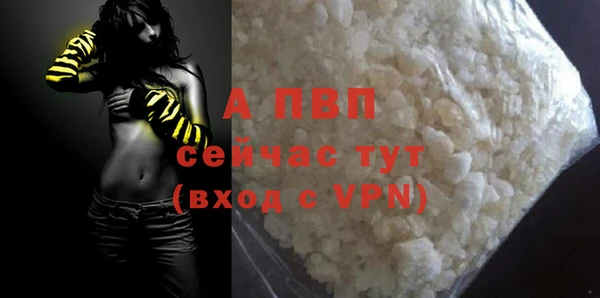 спиды Иннополис